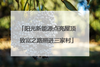 阳光新能源点亮屋顶 致富之路照进三家村