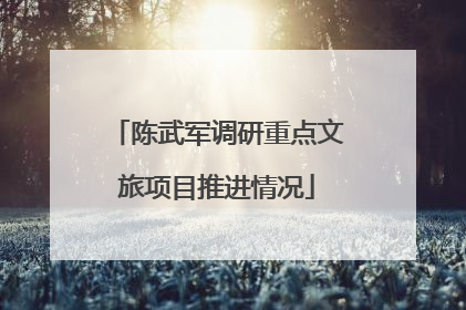 陈武军调研重点文旅项目推进情况