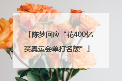 陈梦回应“花400亿买奥运会单打名额”