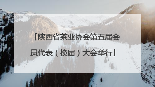 陕西省茶业协会第五届会员代表（换届）大会举行