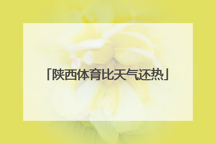 陕西体育比天气还热