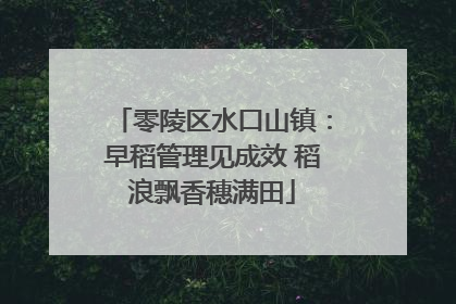 零陵区水口山镇：早稻管理见成效 稻浪飘香穗满田