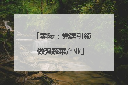 零陵：党建引领 做强蔬菜产业