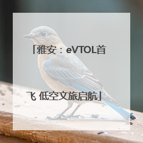 雅安：eVTOL首飞 低空文旅启航