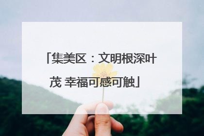 集美区：文明根深叶茂 幸福可感可触
