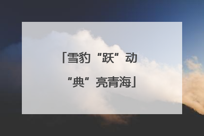 雪豹“跃”动 “典”亮青海