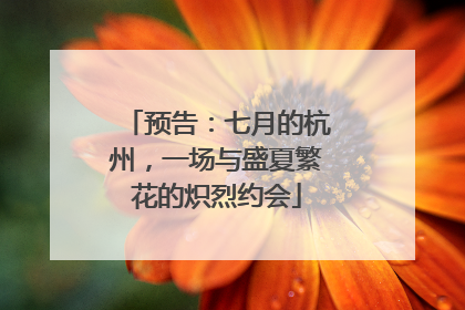 预告：七月的杭州，一场与盛夏繁花的炽烈约会