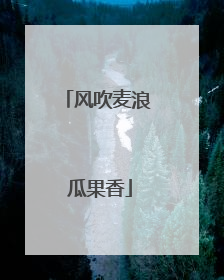风吹麦浪 瓜果香