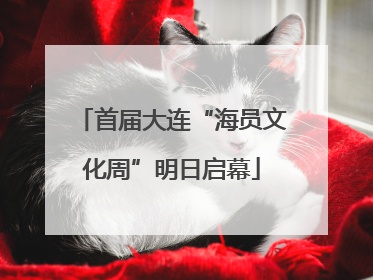 首届大连“海员文化周”明日启幕