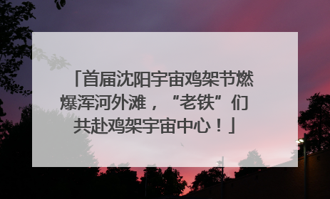 首届沈阳宇宙鸡架节燃爆浑河外滩，“老铁”们共赴鸡架宇宙中心！