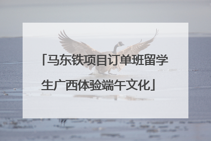 马东铁项目订单班留学生广西体验端午文化