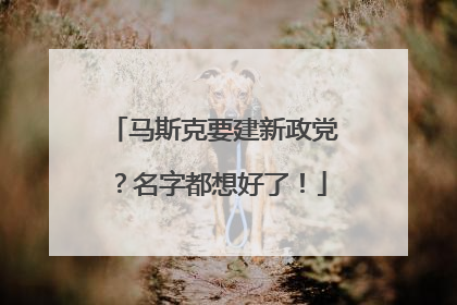马斯克要建新政党？名字都想好了！