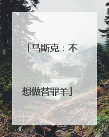 马斯克：不想做替罪羊