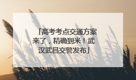 高考考点交通方案来了，精确到米！武汉武昌交警发布