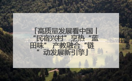 高质量发展看中国丨“民宿兴村”烹热“蓝田味” 产教融合“链”动发展新引擎