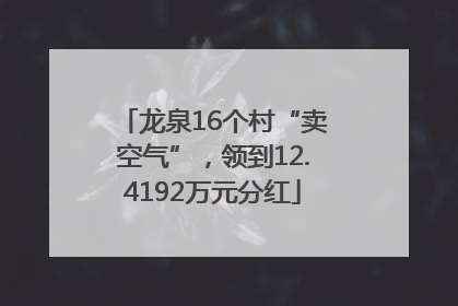 龙泉16个村“卖空气”，领到12.4192万元分红
