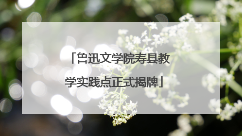 鲁迅文学院寿县教学实践点正式揭牌