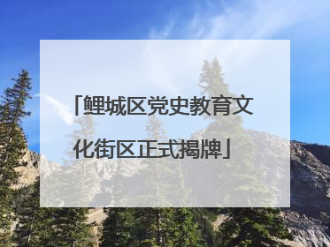 鲤城区党史教育文化街区正式揭牌