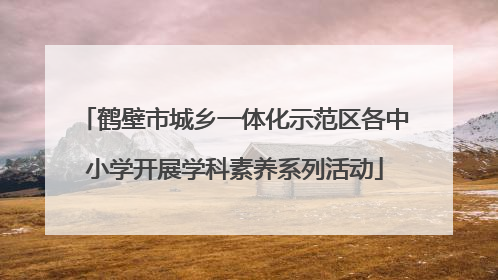 鹤壁市城乡一体化示范区各中小学开展学科素养系列活动