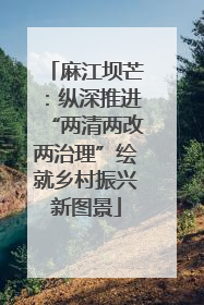 麻江坝芒：纵深推进“两清两改两治理”绘就乡村振兴新图景