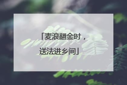 麦浪翻金时，送法进乡间