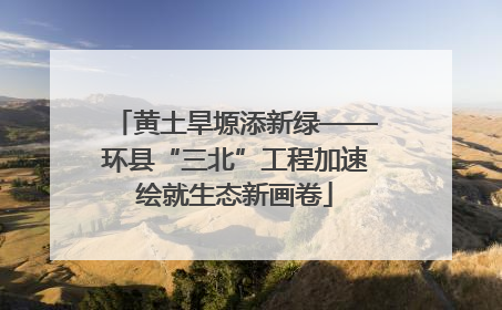 黄土旱塬添新绿——环县“三北”工程加速绘就生态新画卷