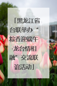 黑龙江省台联举办“粽香迎端午·龙台情相融”交流联谊活动