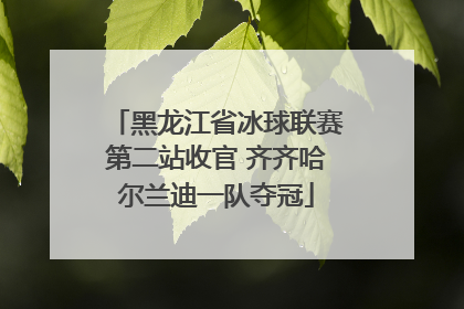 黑龙江省冰球联赛第二站收官 齐齐哈尔兰迪一队夺冠