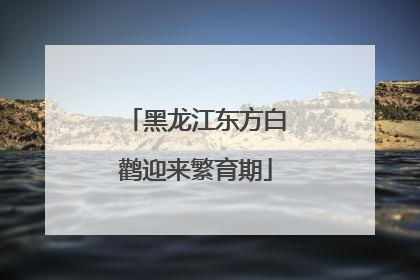 黑龙江东方白鹳迎来繁育期