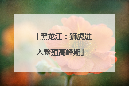 黑龙江：狮虎进入繁殖高峰期