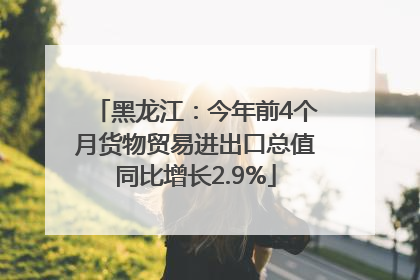 黑龙江：今年前4个月货物贸易进出口总值同比增长2.9%