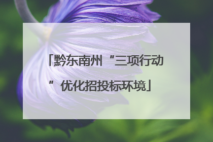 黔东南州“三项行动”优化招投标环境