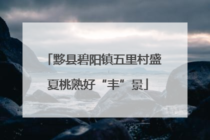 黟县碧阳镇五里村盛夏桃熟好“丰”景