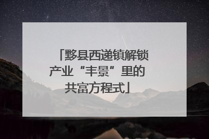 黟县西递镇解锁产业“丰景”里的共富方程式