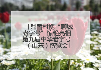 鼎香村携“聊城老字号”惊艳亮相第九届中华老字号（山东）博览会