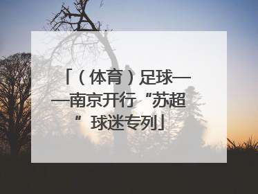 （体育）足球——南京开行“苏超”球迷专列