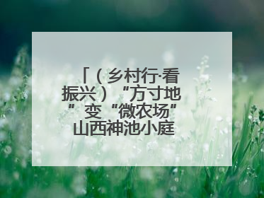 （乡村行·看振兴）“方寸地”变“微农场” 山西神池小庭院拓宽致富路