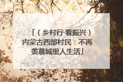 （乡村行·看振兴）内蒙古西部村民：不再羡慕城里人生活