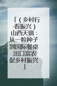 （乡村行·看振兴）山西天镇：从一粒种子到国际餐桌 出口富农促乡村振兴