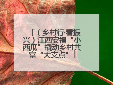（乡村行·看振兴）江西安福“小西瓜”撬动乡村共富“大支点”