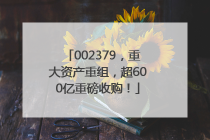 002379，重大资产重组，超600亿重磅收购！