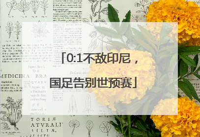 0:1不敌印尼，国足告别世预赛
