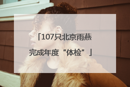 107只北京雨燕完成年度“体检”