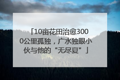 10亩花田治愈3000公里孤独，广水独眼小伙与他的“无尽夏”