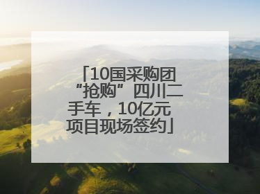 10国采购团“抢购”四川二手车，10亿元项目现场签约
