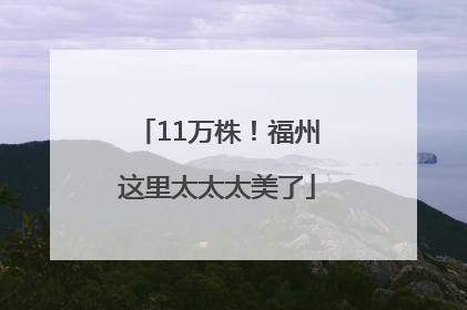 11万株！福州这里太太太美了