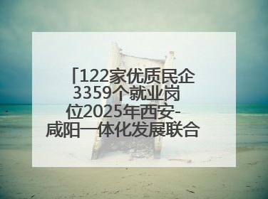 122家优质民企 3359个就业岗位2025年西安-咸阳一体化发展联合招聘会举办