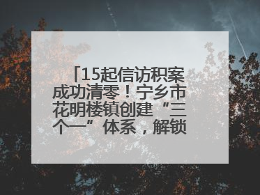 15起信访积案成功清零！宁乡市花明楼镇创建“三个一”体系，解锁基层治理新姿势