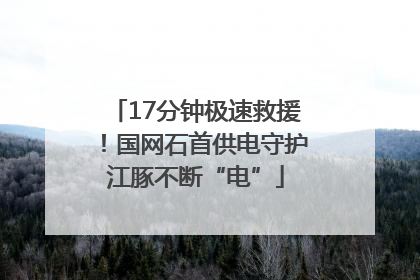 17分钟极速救援！国网石首供电守护江豚不断“电”