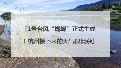 1号台风“蝴蝶”正式生成！杭州接下来的天气很复杂